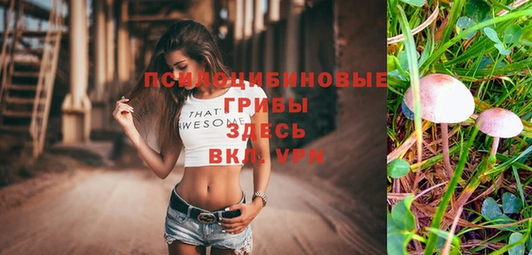 амф Белокуриха