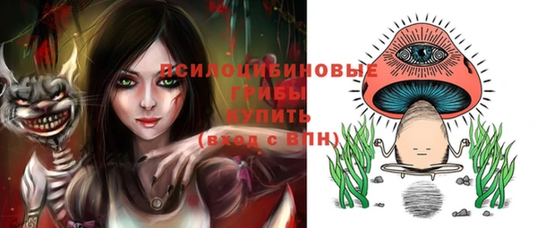 дживик Баксан